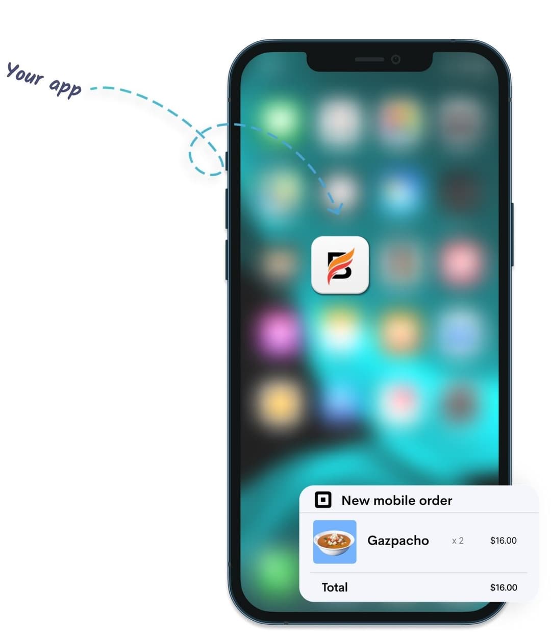 <h2 style="letter-spacing:-2.5px;line-height:70px">Mobile Loyalty App</h2>